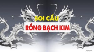 soi cầu rồng bạch kim for88